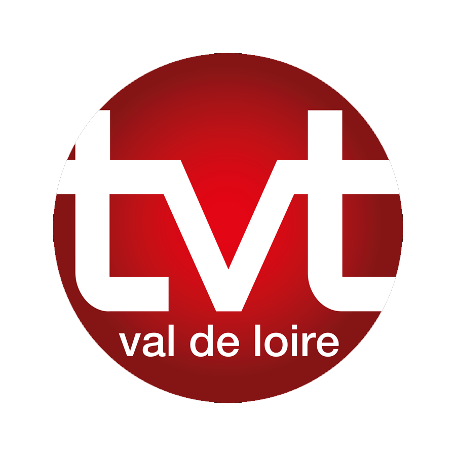 Logo TV Tours